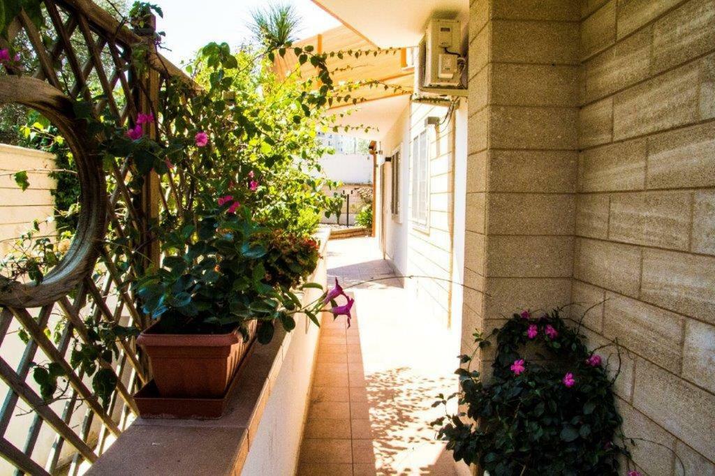 Apartament Little House Modugno Zewnętrze zdjęcie